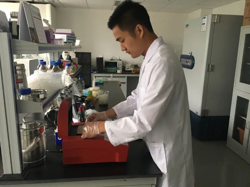 云南林草科技六大行动 精准支撑集体林改，驱动技术服务与成果转让新篇章