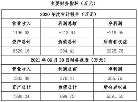 湖北民航技术服务公司股权转让项目解析 聚焦技术服务与技术成果转移